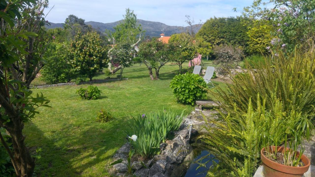 Casinha Nº461 Villa Vila Praia de Âncora Buitenkant foto